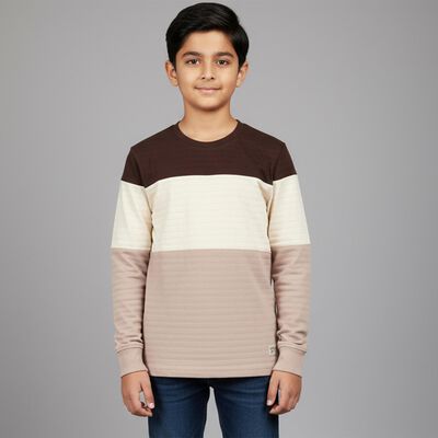Boys' Brown and Beige Round Neck Casual T-Shirt
