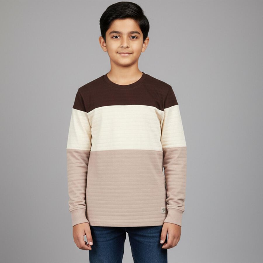 Boys' Brown and Beige Round Neck Casual T-Shirt, Brown, large image number null