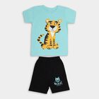 Boys' Knit Baba Suit , हल्का हरा, small image number null