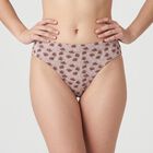 Women's Brown Mid-Rise Printed Panty, Brown, small