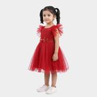 Girls' Fuchsia Fit and Flare Glitter Net Party Wear Frock, रानी (फ्यूशिया), small