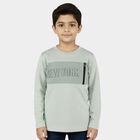 Boys Light Sage Green Cotton Round Neck Casual T-Shirt, हल्का हरा, small image number null