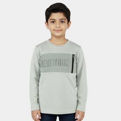 Boys Light Sage Green Cotton Round Neck Casual T-Shirt