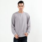 Men's Light Grey Crew Neck Textured Sweatshirt, हल्का ग्रे, small image number null