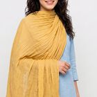 Women's Khaki Solid Dupatta, खाकी, small