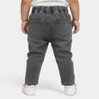Infants' Light Grey Regular Fit Floral Embroidered Jeans, Light Grey, small