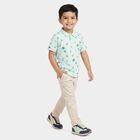 Boys Mint Green Cotton Polo Neck Polo Boys T-Shirt, हल्का हरा, small