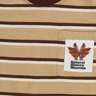 Boys Beige and Brown Crew Neck Casual T-Shirt, गहरा पीला, small