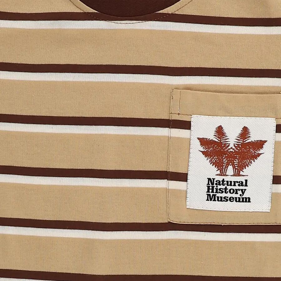 Boys Beige and Brown Crew Neck Casual T-Shirt, गहरा पीला, large