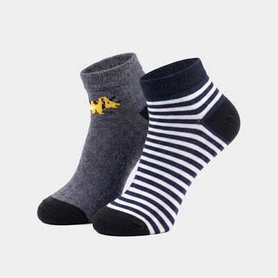 Boys' Regular Fit Striped Pack of 2 Socks ( Navy Blue, Grey )