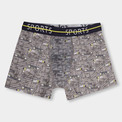 Boys Muted Grey Regular Fit Printed Briefs