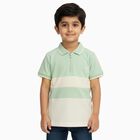 Boys' 100% Cotton Half Sleeves T-Shirt, Light Green, small image number null
