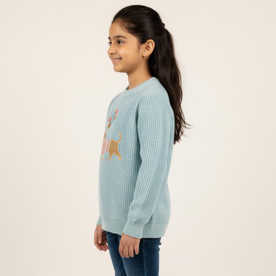 Girls Light Powder Blue Crew Neck Casual Pullover, Light Blue, large image number null