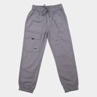 Boys Grey Regular Fit Cargo Trousers, Light Grey, small
