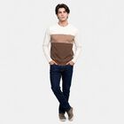 Men's Brown Crew Neck Colorblocked Regular T-Shirt, Brown, small
