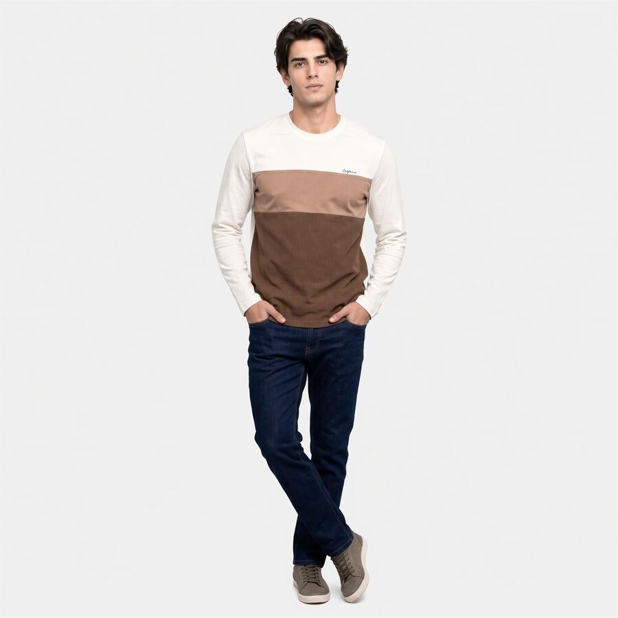 Men's Brown Crew Neck Colorblocked Regular T-Shirt, Brown, large
