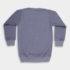 Boys Muted Slate Blue Crew Neck Casual Sweatshirt, मध्यम नीला, small image number null