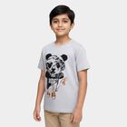 Boys Light Grey Crew Neck Casual T-Shirt, Ecru Melange, small