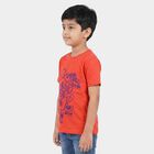 Boys Peach Round Neck Regular Boys T-Shirt, Peach, small