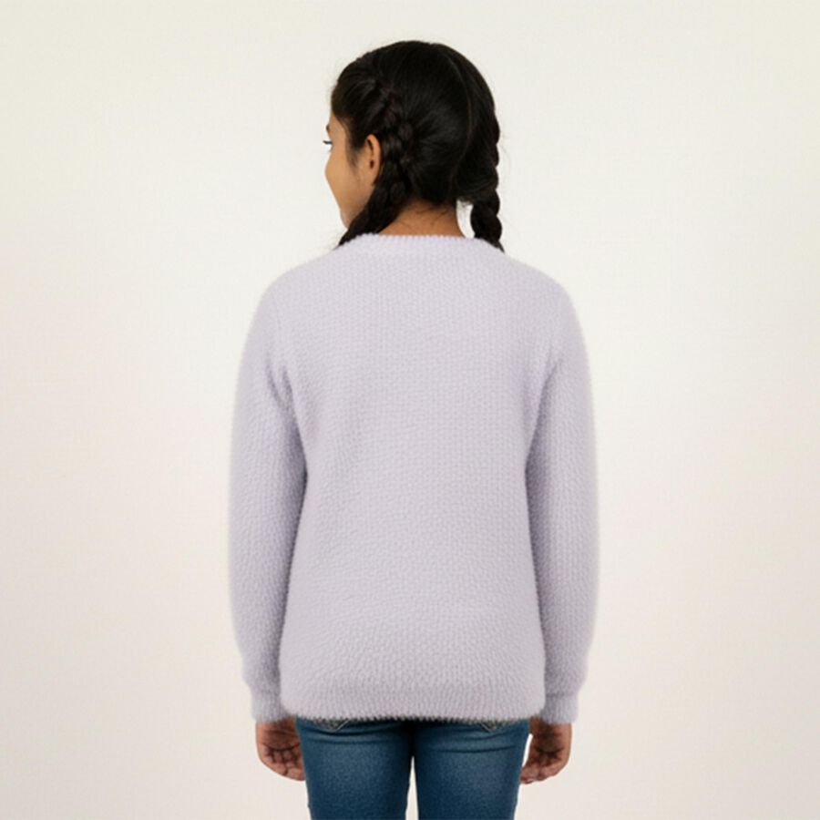 Girls' Soft Lavender Crew Neck Casual Pullover, लाइलेक, large image number null