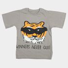 Boys Grey Cotton Round Neck Regular Boys T-Shirt, Light Grey, small