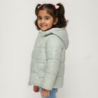 Girls' Light Sage Green Hooded Glitter Puffer Jacket, Light Green, small image number null