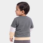 Infants' Grey Cotton Crew Neck Pullover Sweatshirt, Dark Grey, small
