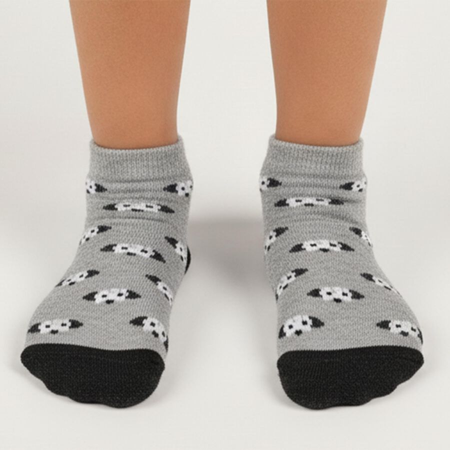 Boys' Light Sky Blue and Heather Gray Regular Fit Patterned Socks Pack of 2, Light Grey, large image number null