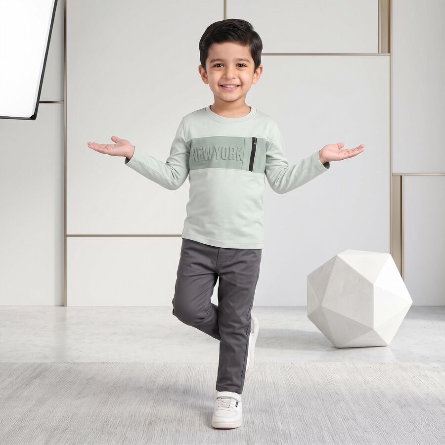 Boys' Mint Green Cotton Round Neck Regular T-Shirt, हल्का हरा, large
