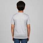 Boys Light Grey Crew Neck Casual T-Shirt, Light Grey, small image number null