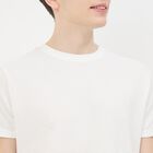 Men's White Round Neck Casual T-Shirt, White, small