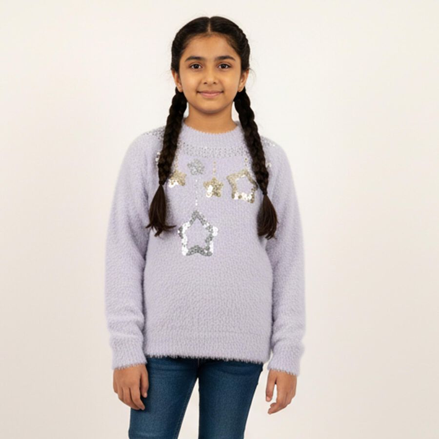 Girls' Soft Lavender Crew Neck Casual Pullover, लाइलेक, large image number null