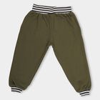 Infants' Olive Jogger Fit Rib Waist Pyjama, ओलिव, small image number null