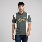 Men Light Green Polo Neck Polo T-Shirt, Light Green, small