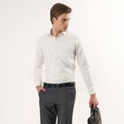 Men's Light Green Spread Collar Classic Formal Shirt, हल्का हरा, small