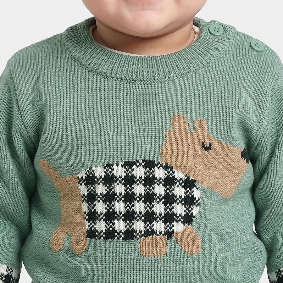 Infants Green Crew Neck Pullover, हल्का हरा, large