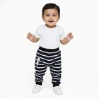 Infants Navy Blue Striped Cotton Dinosaur Print Pyjama, नेवी ब्लू, small image number null