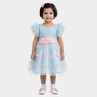 Girls' Light Blue Fit and Flare 3D Floral Applique Party Wear Frock, हल्का नीला, small