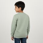 Boys Light Sage Green Crew Neck Casual Sweatshirt, हल्का हरा, small image number null