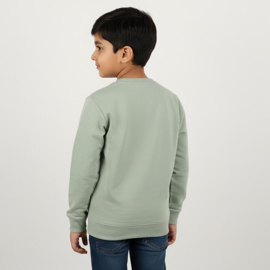 Boys Light Sage Green Crew Neck Casual Sweatshirt, हल्का हरा, large image number null