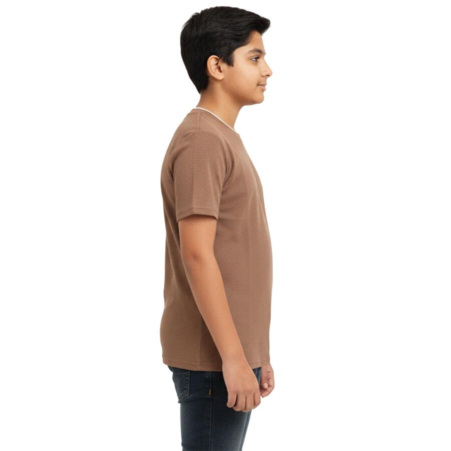 Boys' Half Sleeves T-Shirt, Brown, large image number null