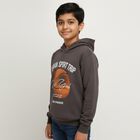 Boys Light Grey Crew Neck Casual Sweatshirt, हल्का ग्रे, small image number null