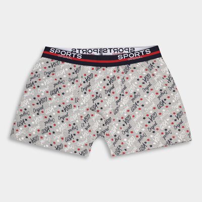 Boys Light Heather Grey Regular Fit Printed Briefs
