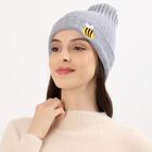 Women's Light Grey Embroidered Beanie Cap, Light Grey, small image number null