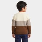 Boys Brown Crew Neck Colorblock Pullover, Brown, small