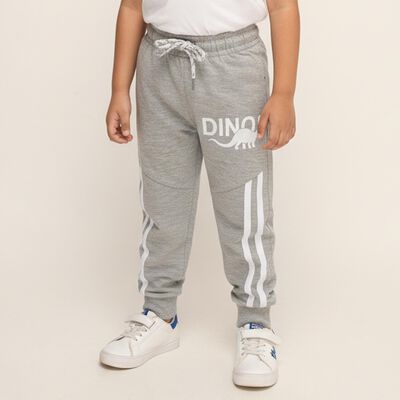 Boys' Light Grey Dinosaur Printed Cotton Blend Pyjama