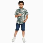 Boys Light Sage Green Cotton Half Sleeve Button Down Casual Shirt, Light Green, small image number null