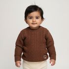 Infants' Rich Chocolate Brown Crew Neck Cable Knit Pullover, भूरा, small image number null