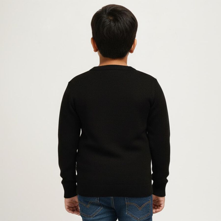 Boys Jet Black Round Neck Graphic Pullover, काला, large image number null