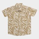 Boys Off-White Cotton Half Sleeve Classic Collar Casual Shirt, Off White, small